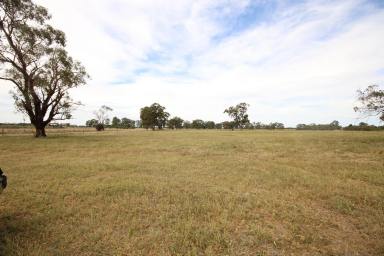 Other (Rural) For Sale - VIC - Stanhope - 3623 - 40-ACRES ON STANHOPE TOWNS EDGE  (Image 2)
