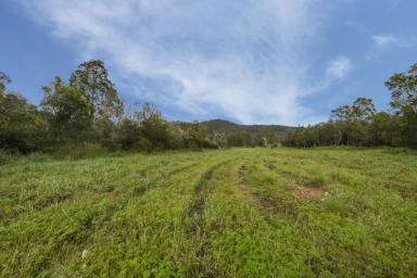 Other (Rural) Sold - NSW - Pillar Valley - 2462 - Just 15 Minutes to the Waves - Your Future Rural Dream Awaits  (Image 2)
