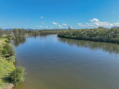 Residential Block For Sale - NSW - Jones Island - 2430 - Affordable acreage  (Image 2)