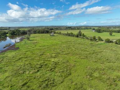 Residential Block For Sale - NSW - Jones Island - 2430 - Affordable acreage  (Image 2)
