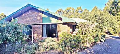 House Sold - TAS - Penguin - 7316 - Within Town Boundaries - A Couple of K's from the Coast - Bush Seclusion - Under Contract  (Image 2)