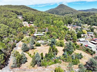 House For Sale - TAS - Penguin - 7316 - Within Town Boundaries - A Couple of K's from the Coast - Bush Seclusion  (Image 2)