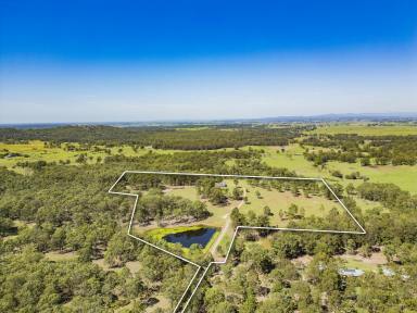 Acreage/Semi-rural For Sale - NSW - Duns Creek - 2321 - Hobby Farm with Massive Water Storage!  (Image 2)