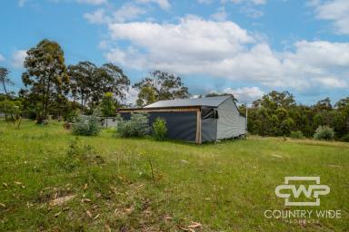 Acreage/Semi-rural For Sale - NSW - Torrington - 2371 - Ideal Lifestyle Property  (Image 2)