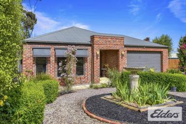 House Sold - VIC - Avoca - 3467 - Family Living in Avoca  (Image 2)