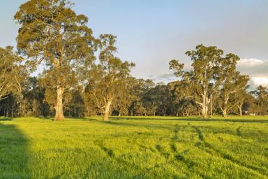 Lifestyle For Sale - VIC - Euroa - 3666 - Approved Plans & Permits Moments From Euroa Township  (Image 2)