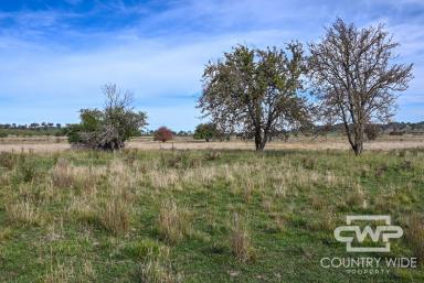 Residential Block For Sale - NSW - Guyra - 2365 - Your Blank Canvas....  (Image 2)
