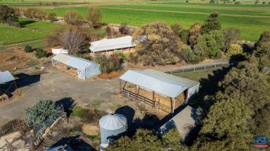 Cropping Sold - VIC - Invergordon - 3636 - Quality Beef/Dairy Operation  (Image 2)