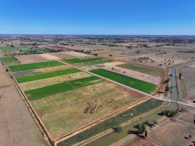 Cropping For Sale - VIC - Invergordon - 3636 - Quality Beef/Dairy Operation  (Image 2)