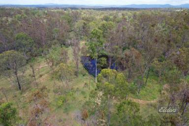 Residential Block For Sale - QLD - Paterson - 4570 - 40 FLOOD FREE ACRES  (Image 2)