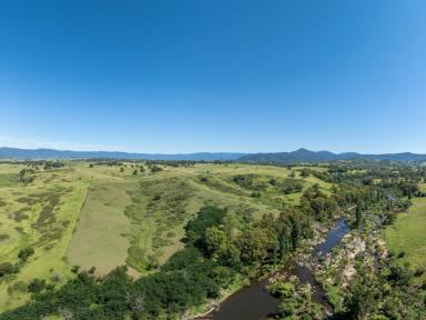 Mixed Farming For Sale - NSW - Candelo - 2550 - "HONEYSUCKLE" 400 ACRES  (Image 2)