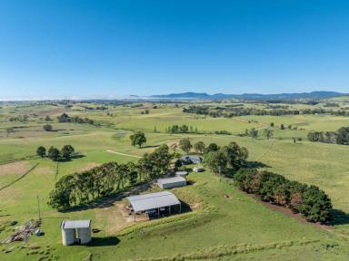 Mixed Farming For Sale - NSW - Candelo - 2550 - “HONEYSUCKLE” 400 ACRES  (Image 2)