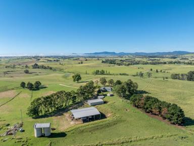 Mixed Farming For Sale - NSW - Candelo - 2550 - "HONEYSUCKLE" 400 ACRES  (Image 2)