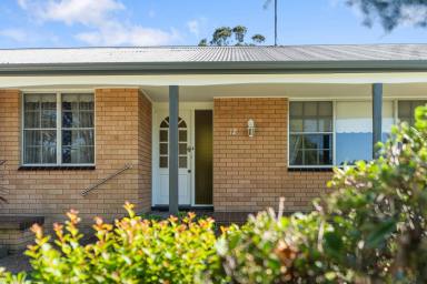 House Sold - NSW - Raymond Terrace - 2324 - NEAT AND TIDY THREE BEDROOM HOME  (Image 2)
