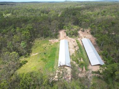 Residential Block For Sale - QLD - Glenwood - 4570 - Rural Land With Two Large Sheds  (Image 2)