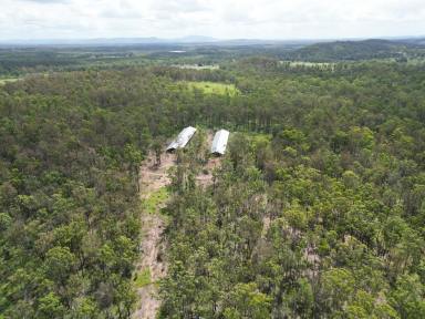 Residential Block For Sale - QLD - Glenwood - 4570 - Rural Land With Two Large Sheds  (Image 2)