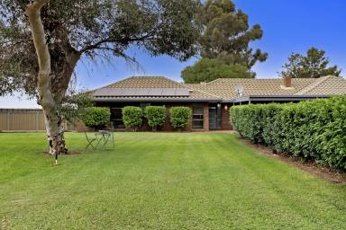 House Sold - VIC - Cardross - 3496 - Space and comfort  (Image 2)