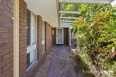 House Sold - WA - Maddington - 6109 - entry level blank canvas with options galore  (Image 2)