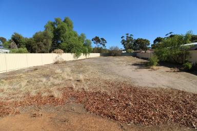 Residential Block For Sale - WA - Wagin - 6315 - 1000sqm residential block under $40k  (Image 2)