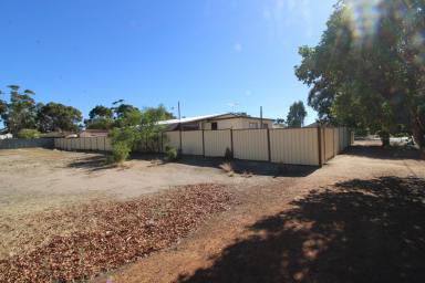 Residential Block For Sale - WA - Wagin - 6315 - 1000sqm residential block under $40k  (Image 2)