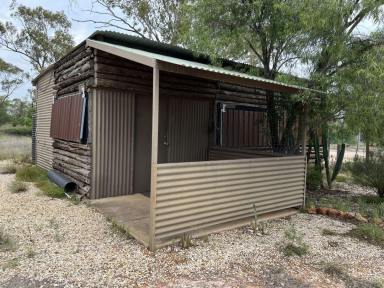 House For Sale - NSW - Lightning Ridge - 2834 - Walk in/Walk out Camp  (Image 2)