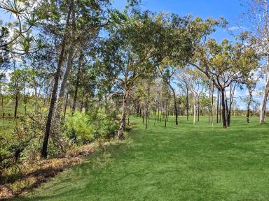 Residential Block For Sale - QLD - Mareeba - 4880 - COUNTRY LIVING AT IT'S FINEST  (Image 2)