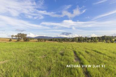 Residential Block Sold - NSW - Clarence Town - 2321 - Ready to build!  (Image 2)