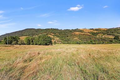 Residential Block For Sale - NSW - Tumut - 2720 - Rural Land with Goobarragandra River Frontage  (Image 2)
