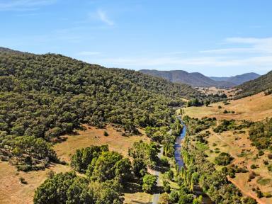 Residential Block For Sale - NSW - Tumut - 2720 - Rural Land with Goobarragandra River Frontage  (Image 2)