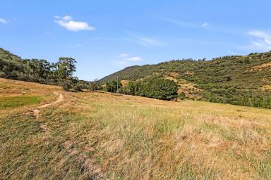 Residential Block For Sale - NSW - Tumut - 2720 - Rural Land with Goobarragandra River Frontage  (Image 2)