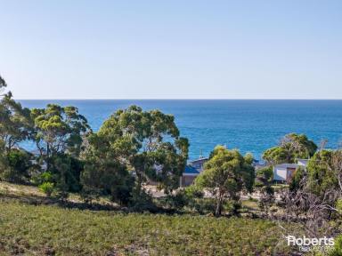 Residential Block For Sale - TAS - Greens Beach - 7270 - Seaside Living Awaits - Your Choice of Dream Land  (Image 2)