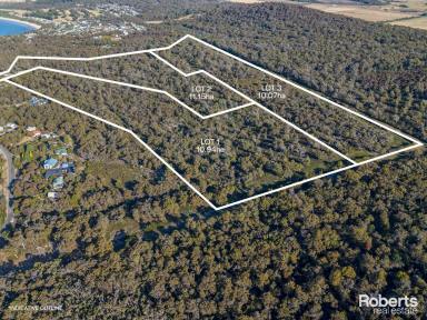 Residential Block For Sale - TAS - Greens Beach - 7270 - Seaside Living Awaits - Your Choice of Dream Land  (Image 2)