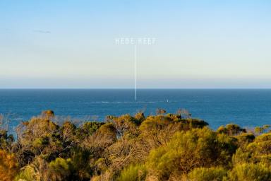 Residential Block For Sale - TAS - Greens Beach - 7270 - Seaside Living Awaits - Your Choice of Dream Land  (Image 2)