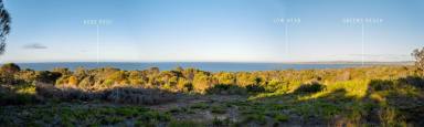 Residential Block For Sale - TAS - Greens Beach - 7270 - Seaside Living Awaits - Your Choice of Dream Land  (Image 2)