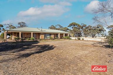 House For Sale - SA - Roseworthy - 5371 - ACREAGE WITH HOME ON GAWLERS DOORSTEP  (Image 2)