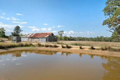 Livestock For Sale - NSW - Braidwood - 2622 - 80 Acres With River Frontage, 2 Separate Houses + 1BR Cabin, Mostly Cleared, Dual Road Access, Perfect Grazing Land, Amazing Views, Ideal Lifestyle!  (Image 2)