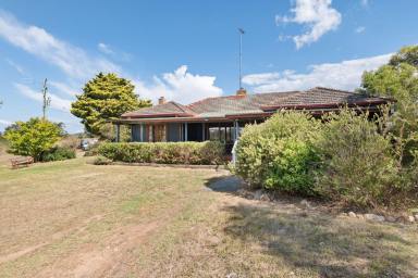 Livestock For Sale - NSW - Braidwood - 2622 - 80 Acres With River Frontage, 2 Separate Houses + 1BR Cabin, Mostly Cleared, Dual Road Access, Perfect Grazing Land, Amazing Views, Ideal Lifestyle!  (Image 2)