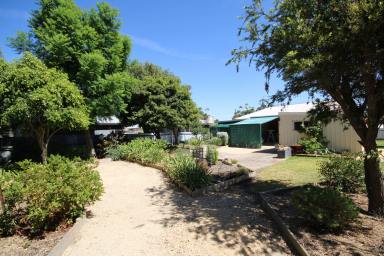 House Sold - SA - Naracoorte - 5271 - Immaculate First Home Or Investment Opportunity  - REOFFERED DUE TO FAILED CONTRACT  (Image 2)