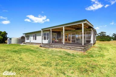Livestock For Sale - VIC - Woodside - 3874 - OFF GRID LIVING WITH 100 ACRES  (Image 2)