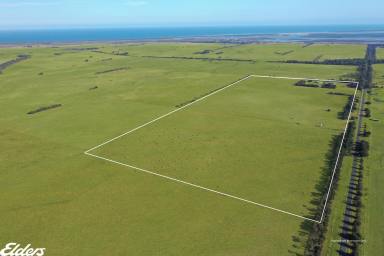 Livestock For Sale - VIC - Woodside - 3874 - OFF GRID LIVING WITH 100 ACRES  (Image 2)