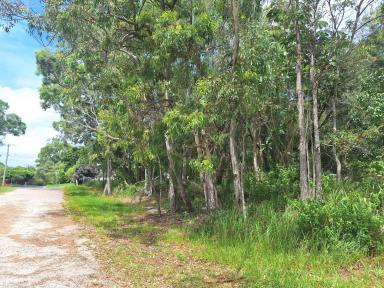 Residential Block For Sale - QLD - Macleay Island - 4184 - Corner Block Close to  Town  (Image 2)