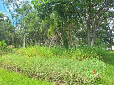 Residential Block For Sale - QLD - Macleay Island - 4184 - Corner Block Close to  Town  (Image 2)