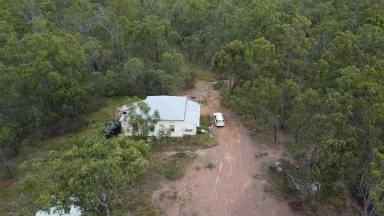House For Sale - QLD - Good Night - 4671 - 32 Acre block with old house and shed.  (Image 2)
