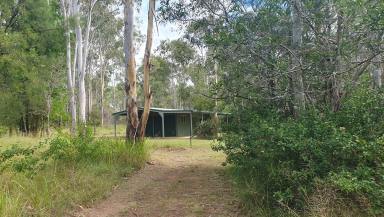 Lifestyle For Sale - QLD - Benarkin - 4314 - Privacy and tranquillity on 5.13Acres with Colourbond shed.  (Image 2)