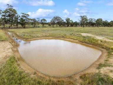 Residential Block For Sale - VIC - Goornong - 3557 - Exclusive Rural Land Release - Outskirts of Bendigo  (Image 2)