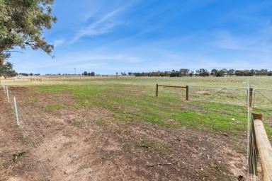Residential Block For Sale - VIC - Goornong - 3557 - Exclusive Rural Land Release - Outskirts of Bendigo  (Image 2)