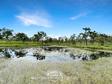 Lifestyle For Sale - QLD - Dimbulah - 4872 - OFF-GRID WEEKENDER WITH GRAZING POTENTIAL  (Image 2)