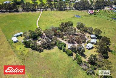 Acreage/Semi-rural For Sale - VIC - Swan Reach - 3903 - Swan Reach - Lifestyle Or Investment Plus 28 Acres  (Image 2)