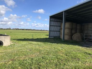 Residential Block Sold - WA - Meerup - 6262 - Prime Farmland - 158 acres 7 kms West of Northcliffe  (Image 2)