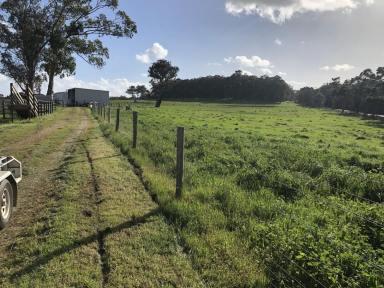 Residential Block Sold - WA - Meerup - 6262 - Prime Farmland - 158 acres 7 kms West of Northcliffe  (Image 2)
